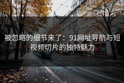 被忽略的细节来了：91网址导航与短视频切片的独特魅力