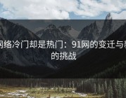 网络冷门却是热门：91网的变迁与新的挑战