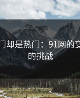 网络冷门却是热门：91网的变迁与新的挑战